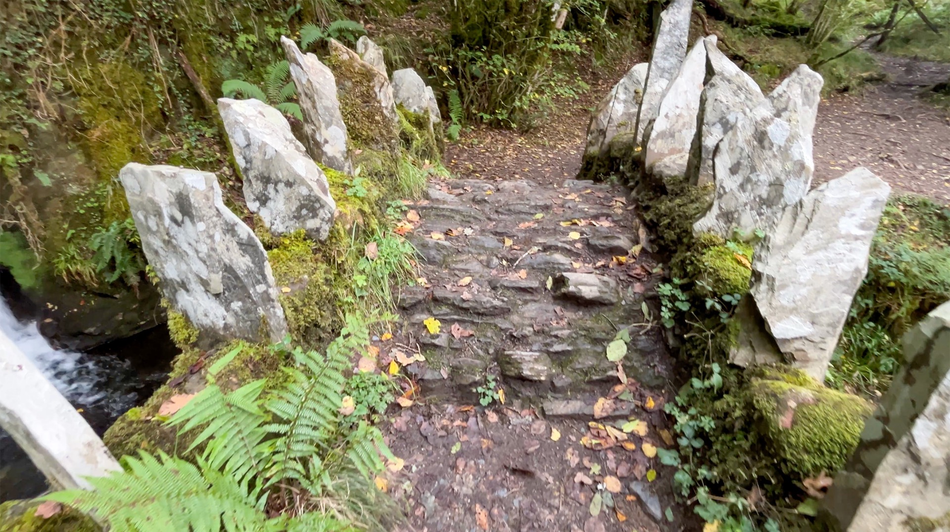 Hump on the 500 year old bridge