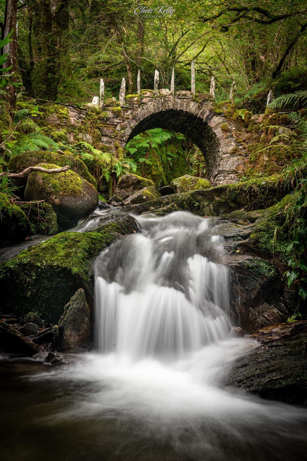 Nikon D750 w/ 24-120 @ 48mm | ƒ11 | 1 sec | ISO 100 (CPL)