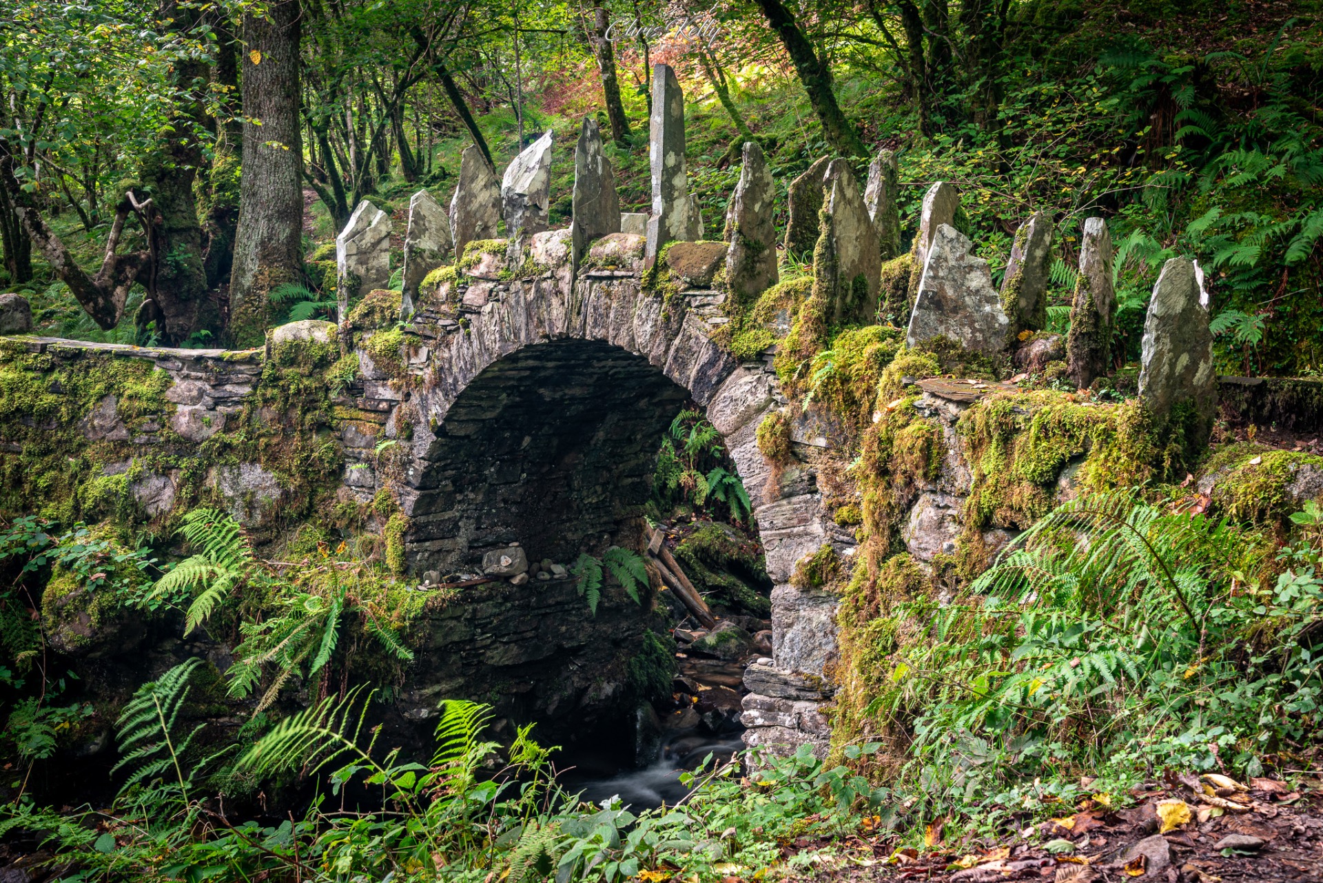 Nikon D750 w/ 24-120 @ 44mm | ƒ11 | 1 sec | ISO 100 (CPL)