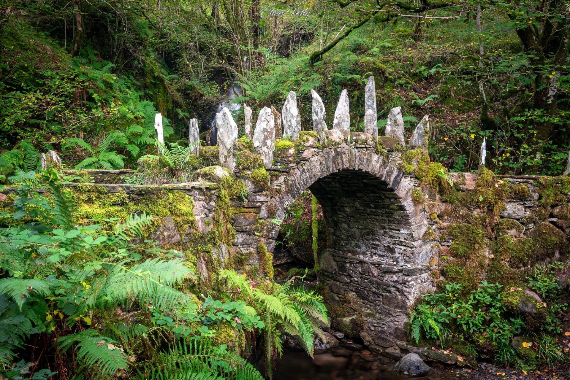 Nikon D750 w/ 24-120 @ 31mm | ƒ11 | 1 sec | ISO 100 (CPL)