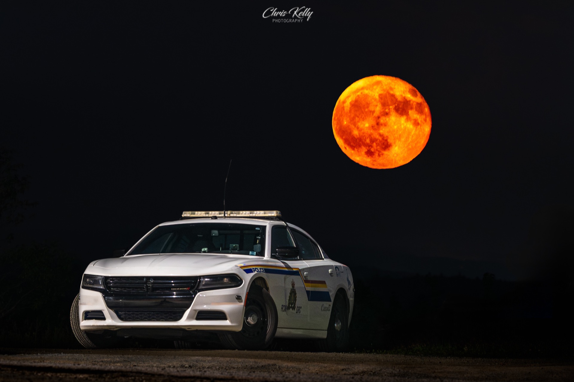 “The Full Moon Brings Out the Crazy”